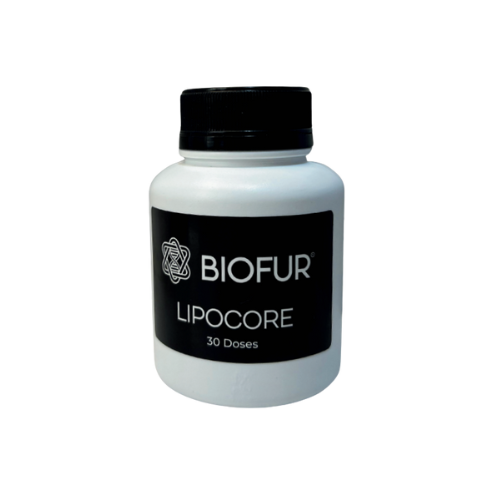 Lipocore